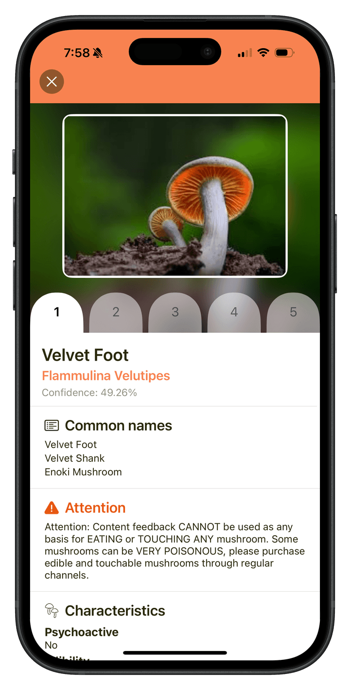 Mushroom Identifier app screenshot
