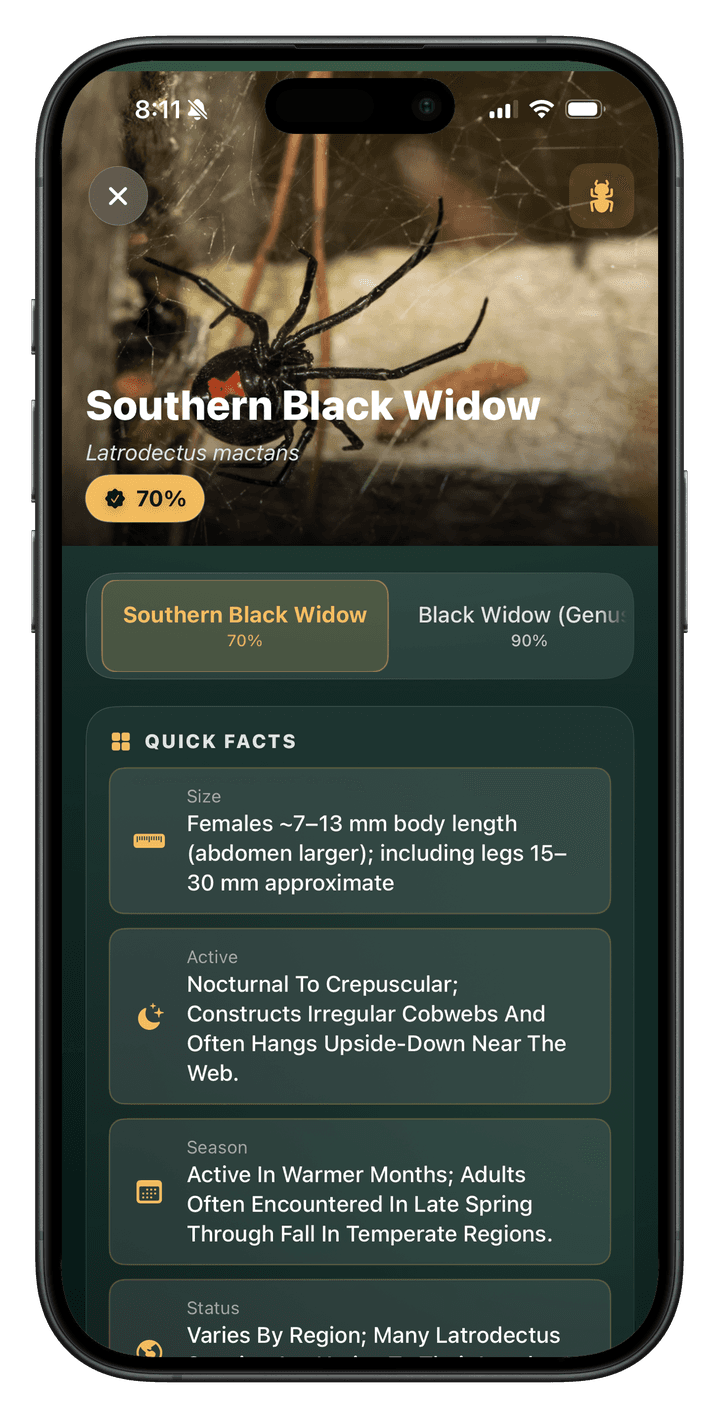 Spider Identifier app screenshot